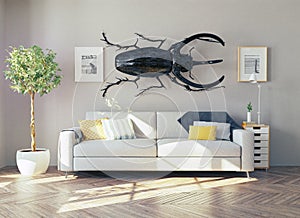 The rhino beetle in the room