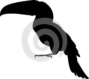 rhino bird vector silhouette black