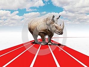 Rhino challenge