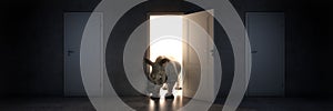 Rhino enters an open door, 3d rendering