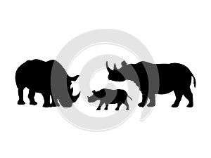 Rhino family. Rhinoceros silhouettes of animals