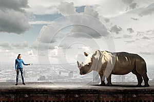 Rhino on lead