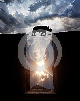 Rhino over the abyss photo