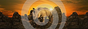 Rhino at sunset. 3d rendering