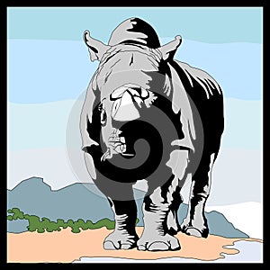 Rhinoceros