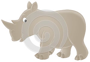 Rhinoceros photo