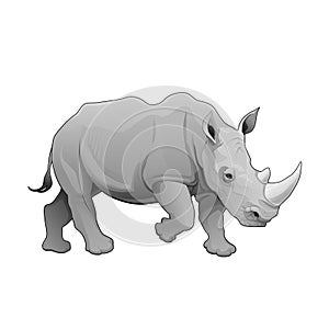 Rhinoceros.