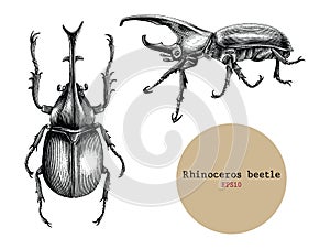Rhinoceros beetle hand drawing vintage engraving illustration,Drawing design for tattoo
