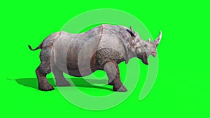 Rhinoceros dies side green screen 3D Renderings Animations Animals