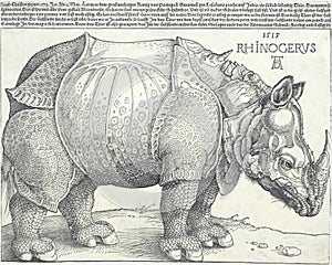 Rhinoceros engraving of Albrecht DÃ¼rer