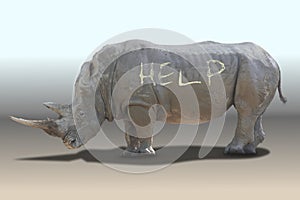 Rhinoceros need help