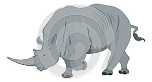 Rhinoceros or Rhinocerotidae, illustration