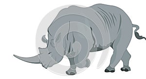 Rhinoceros or Rhinocerotidae, illustration photo
