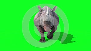 Rhinoceros run cycle front green screen loop 3D Renderings Animations Animals