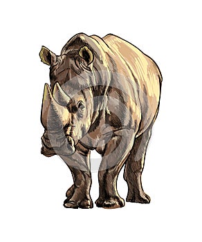 Rhinoceros from a splash of watercolor, colored drawing, realistic