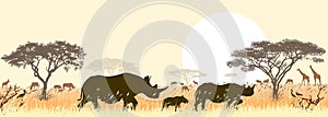 Rhinos in the African savannah