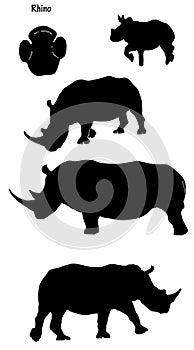 Rhinos in silhouette