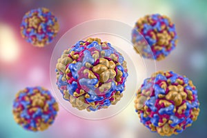 Rhinoviruses, viruses cause common cold and rhinitis