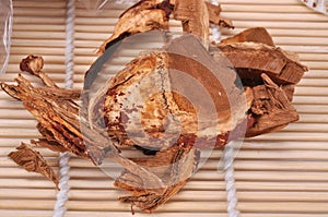 Rhizome cutting section of Ganoderma lucidum