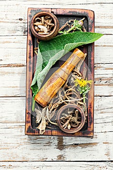 Rhizomes inula on cutting board