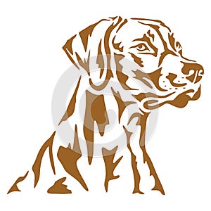 Rhodesian Ridgeback Dog Face Printable Stencil Art