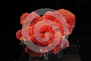 Rhodochrosite