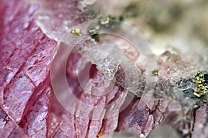 Rhodochrosite MnCO3 with iron pyrite FeS2 Macro