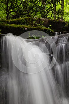 Rhododendron Creek Waterfall in Greenbrier