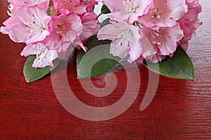 Rhododendron flower on a lacquered board photo