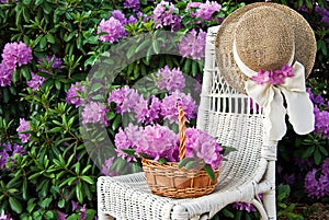 hat on wicker chair in rhododendron garden photo