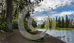 Rhododendron Garden, Portland , OR