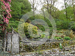 Rhododendron gardens designed by John Ruskin at the Brantwood Museum in the Lake District