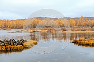 Rhododendron Lake  in Aershan, Inner Mongolia, China