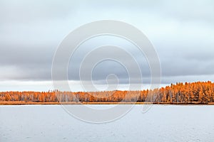 Rhododendron Lake  in Aershan, Inner Mongolia, China