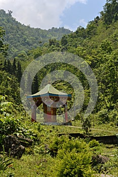 Rhododendron Sanctuary in west Sikkim