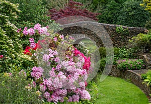 Rhododendrons in English Garden with old bridge