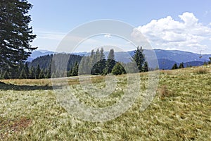 Rhodope Mountains near Snezhanka peak, Bulgaria