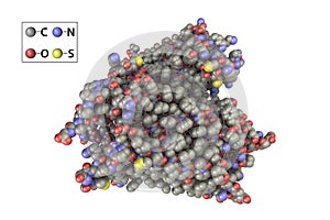 Rhodopsin molecule, 3D illustration