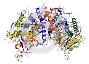 Rhodopsin protein structure photo