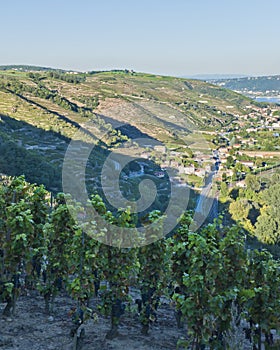 Rhone River Valley near Vienne