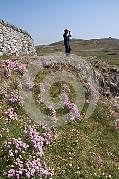Rhoscolyn coastline