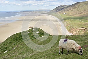 Rhossili Bay on the Gower Peninsular, Wales, UK