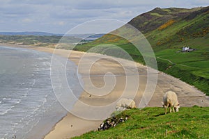 Rhossili Beach