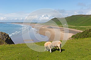 Rhossili The Gower Peninsula South Wales one of the best beaches in the UK