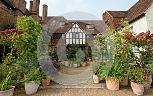 RHS Wisley garden, UK with decaying flower heads of the Hydrangea Paniculata Vanille Fraise Renhy plants in foreground