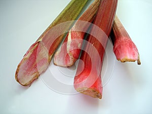 Rhubarb