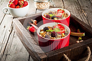 Rhubarb and berries oatmeal crumble