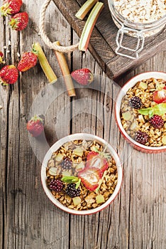 Rhubarb and berries oatmeal crumble