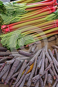 Rhubarb and purple carrots on rustic wooden table