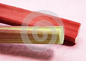 RHUBARB rheum rhaponticum photo